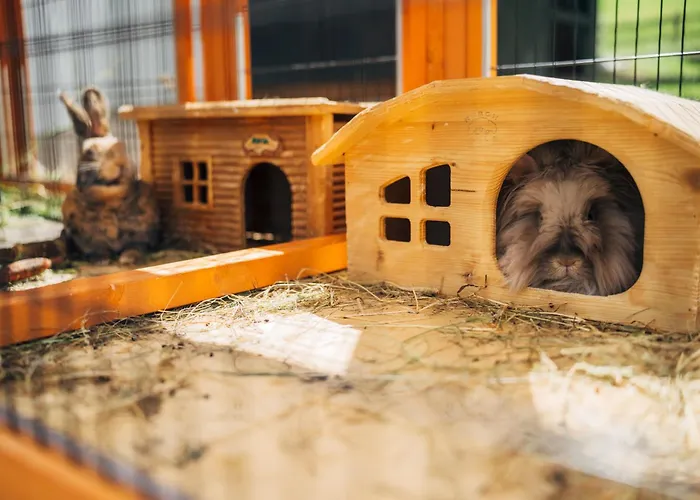 Slow Travel Kirchleitn Aparthotel